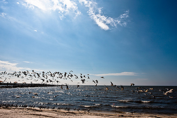 0036-NEW_ORLEANS_TO_PANAMA_CITY_BEACH_5L8Y1172