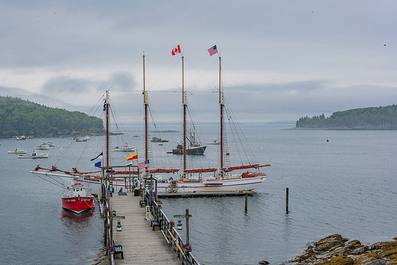 20060627_Maine_ZV4N1033
