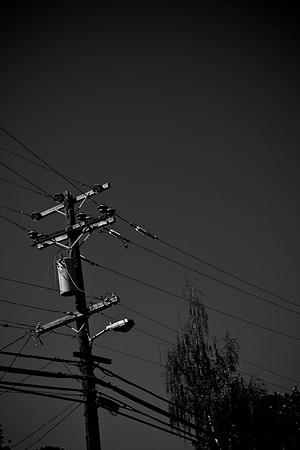 0024_DG_Corta_Madera_CA_USA_20095L8Y0267