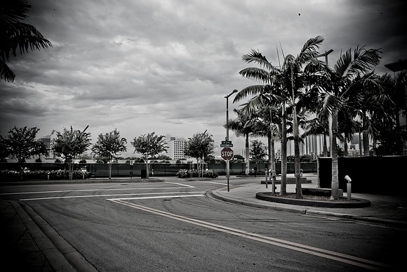 4925_DG_Midtown_Art_Basel_2010_Miami_FL_ZV4N0028