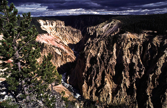 47635_B11_SL_COLOR_YELLOWSTONE_WY_97_18.jpg