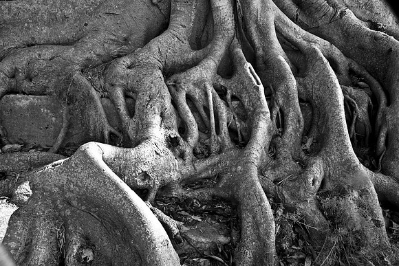 3452_DG_Biltmor_Hotel_Coral_Gables_Miami_FL_5L8Y0254