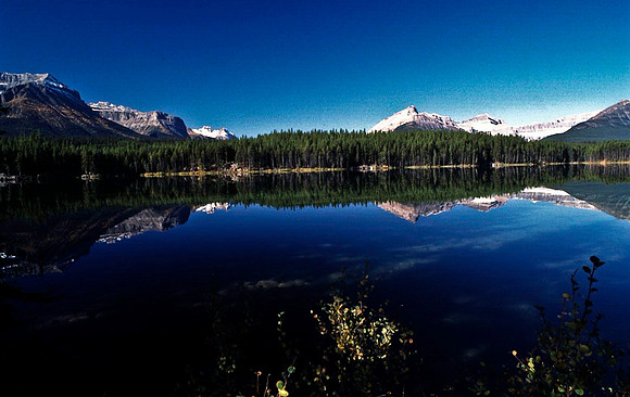 06832_B19_SL_COLOR_PEYTO_LAKE_FROM_THE_BOW_SUMMIT_TRAIL_BANFF_NAT_PARK_BC_WS_97_13.jpg