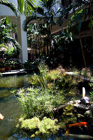36181_DG_Color_USA_Bal_Harbour_FL_Related_Group_Bal_Harbour_ShopsZV4N9507
