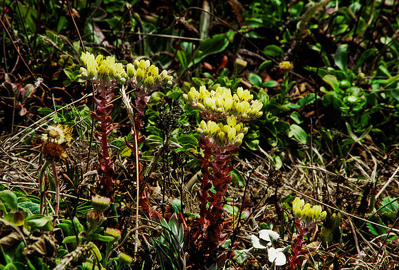 47389_B3_SL_COLOR_SURROUNDINGS_NE_97_18.jpg