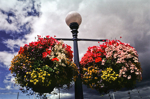 2546_SL_BOX_I_COLOR_OVKA_VICTORIA_CANADA_8