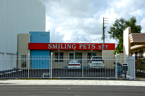 36156_DG_Color_USA_Miami_FL_Biscayne_BlvdDSC_1774_Oasis_Biscayne_BLV_Related