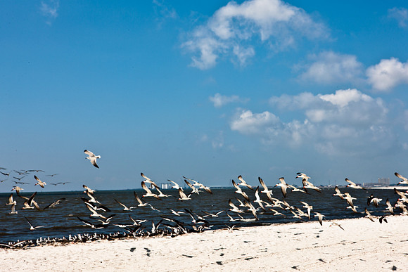 0036-NEW_ORLEANS_TO_PANAMA_CITY_BEACH_5L8Y1145