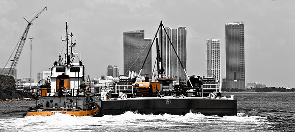 3042_Miami_Urban_20090617-5L8Y9635