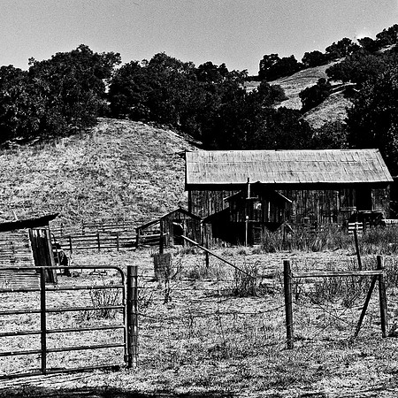 6036_FM_BW_PASO_ROBLES_CA_05_6.jpg