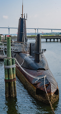 20060703_South_Carolina_ZV4N1492