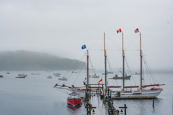 20060627_Maine_ZV4N1036