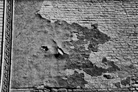7675_B1_FM_BW_LIGHT_IN_MOTION_FL_03.tif
