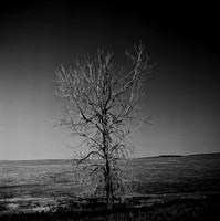 7548_B3P1_5_BW_SQ_MT_01_3.jpg