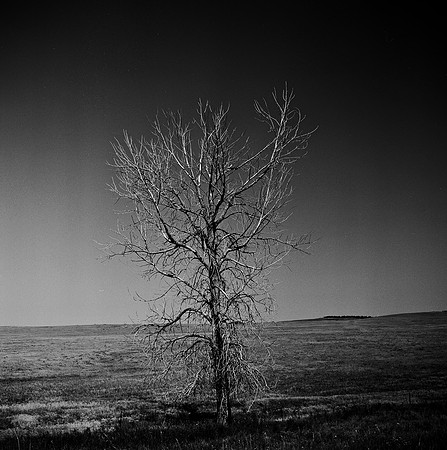 7548_B3P1_5_BW_SQ_MT_01_3.jpg