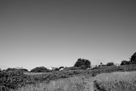5L8Y0978