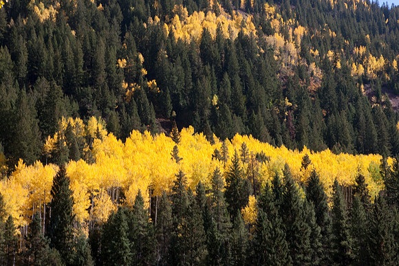 20080830_DVD14_DG_USA_Aspen_2404_full_blead
