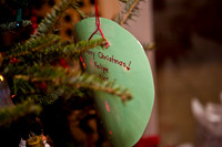2523_Jorge_Perez_Family_Home_Christmas_ZV4N2840