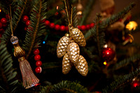 2523_Jorge_Perez_Family_Home_Christmas_ZV4N2839