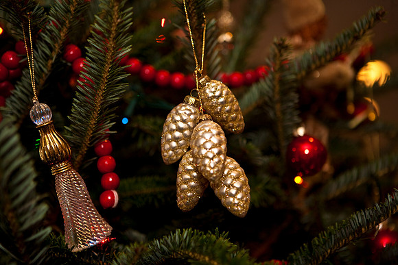 2523_Jorge_Perez_Family_Home_Christmas_ZV4N2839