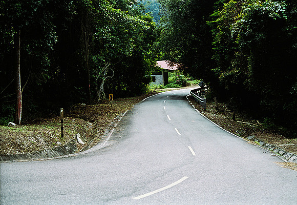 FILM