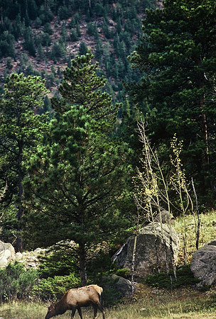47427_B5_SL_COLOR_HOT_SULPHUR_HWY40_COLORADO_WYOMING_9717.jpg