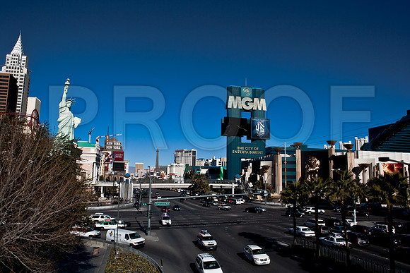 06650_DG_COLOR_LAS_VEGAS_NEVADA_NV_USA_2007_ZV4N_2709