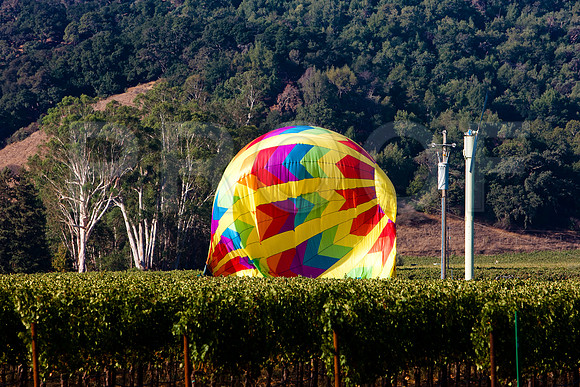 20080904_DVD25_DG_USA_Los_Olivos_CA_20080904_DVD25_DG_USA_Napa_CA_4721_full_blead
