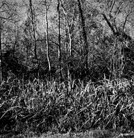 7587_fm_bw_xpand_MANDACINO_CA_01_2.jpg