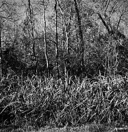 7587_fm_bw_xpand_MANDACINO_CA_01_2.jpg