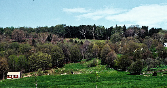 64039_B1_SL_COLOR_UP STATE_NY_86_03.jpg