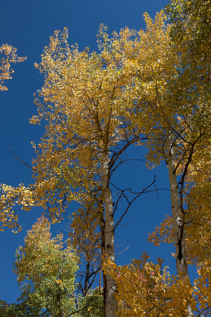 20080829_DVD15_DG_USA_Aspen_2139_full_blead