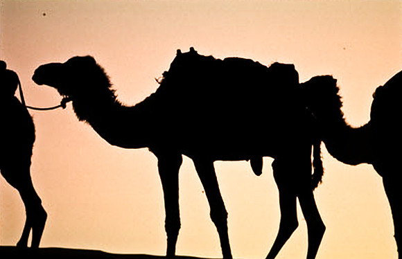3204_SL_COLOR_MERZOUGA_SHAHARA_MAROCCO_II_1998_7