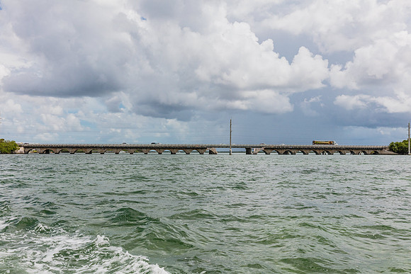 20160714_Key_West_Little_Palm__75A0577