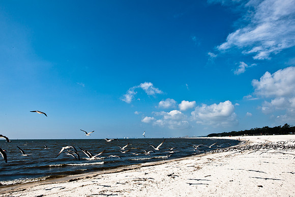 0036-NEW_ORLEANS_TO_PANAMA_CITY_BEACH_5L8Y1179