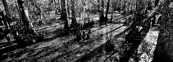 7749_FL_BW_LOUISIANA_01_13.jpg