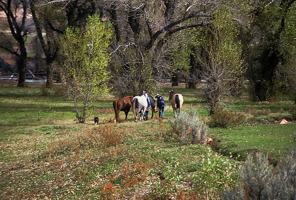 47348_B2_SL_COLOR_US_TOUR_JACKSON_HOLE_GRAND_TETON_WY_97_09.jpg