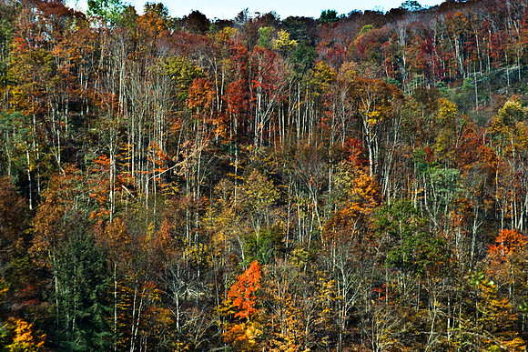 0336_FM_COLOR_MINESOTA_99_14.jpg
