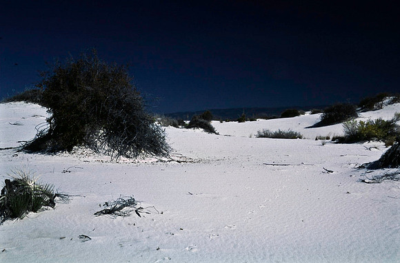 47894_B16_SL_COLOR_LA_MESILLA0_TO_WHITE_SOUNDS_NAT_MNY_HWY20_NM_97_0744.jpg