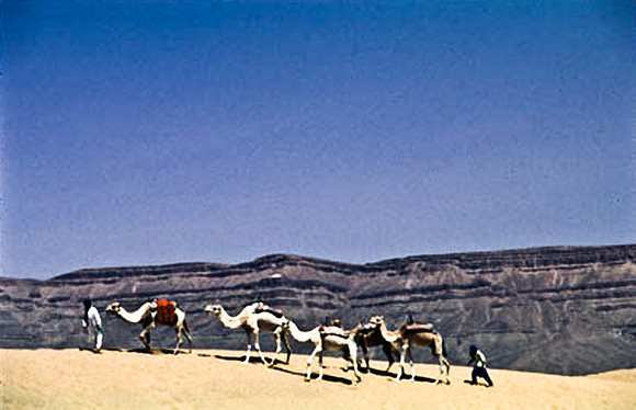 3191_SL_COLOR_TAMGROUTE_DUNES_MAROCCO_II_1998_7