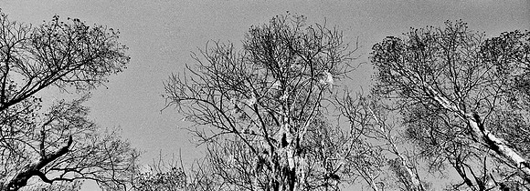 7749_FL_BW_LOUISIANA_01_20.jpg