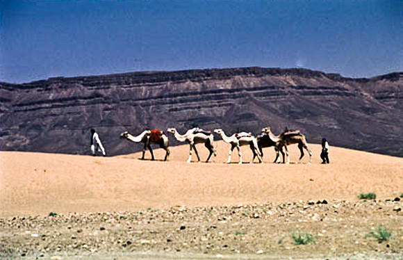 3191_SL_COLOR_TAMGROUTE_DUNES_MAROCCO_II_1998_4