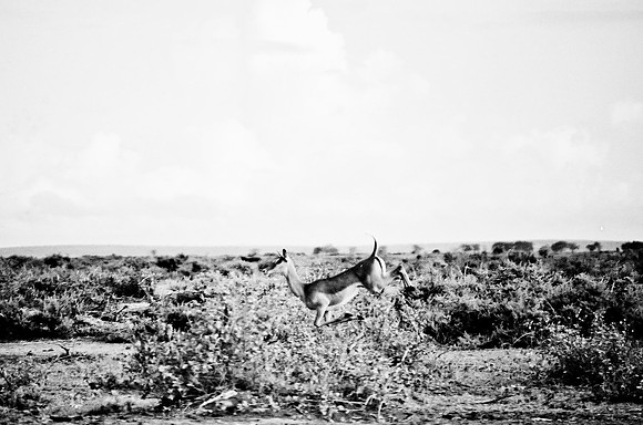 B3_82009_BW_194_New_Masai_Africa_89_17