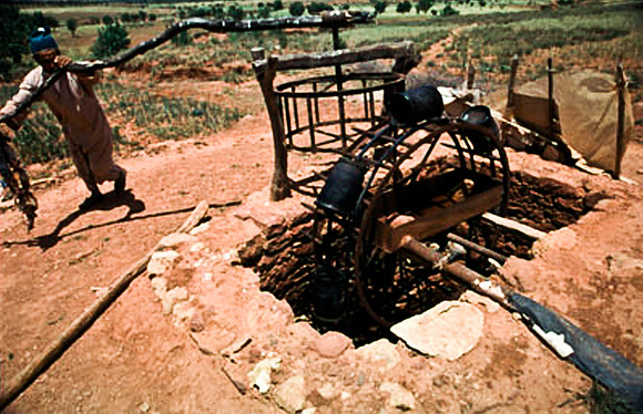 3234_SL_COLOR_EL_KELAA_M_GOUNA_MAROCCO_II_1998_20