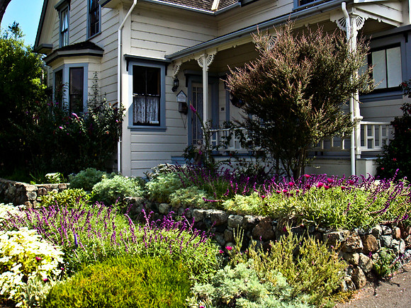 36538_DG_COLOR_MENDOCINO_CALIFORNIA_CA_USA_2007_DSC_01610
