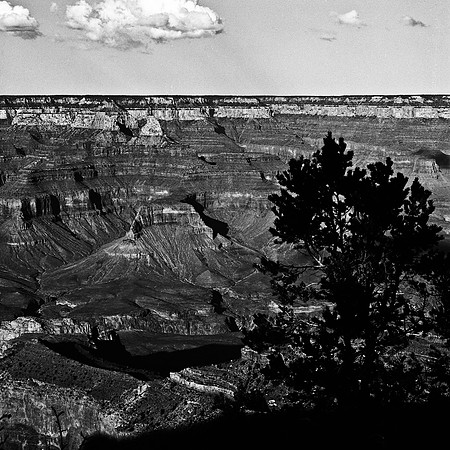 6129_FM_BW_GRAND_CANYON_AZ_05_5.jpg