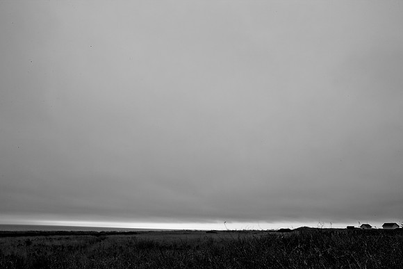 5L8Y0564