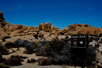 06646_DG_COLOR_JOSHUA_TREE_NAT_PARK_29_PALMS_CALIFORNIA_CA_USA_2007_ZV4N_457