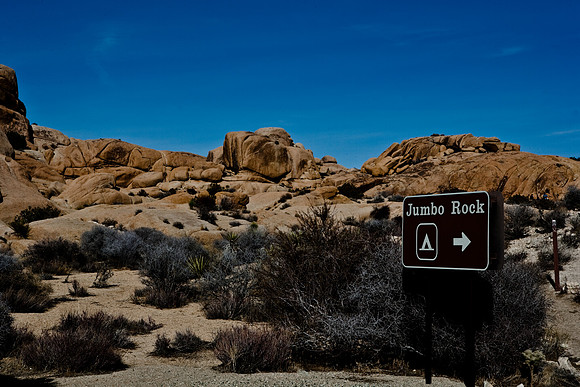 06646_DG_COLOR_JOSHUA_TREE_NAT_PARK_29_PALMS_CALIFORNIA_CA_USA_2007_ZV4N_457
