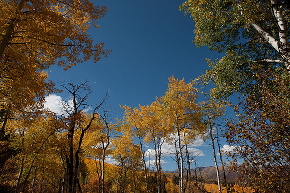 20080829_DVD15_DG_USA_Aspen_2168_full_blead
